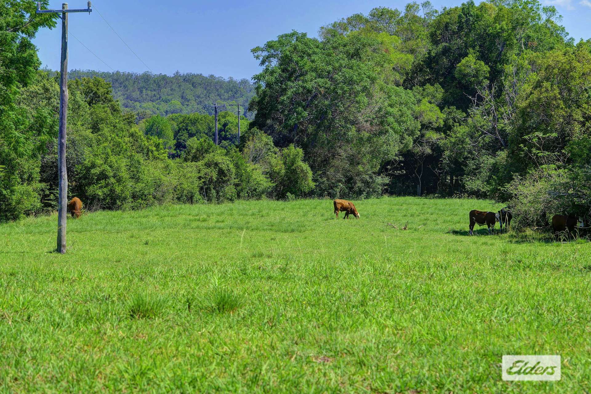 Kings Creek Road, Krambach For Sale by Farmbuy.com - image 2