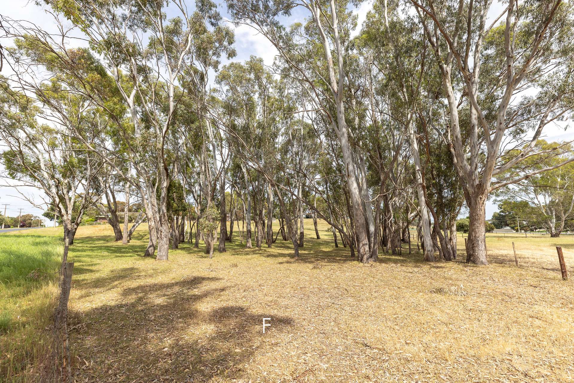 302 Smith Street, Naracoorte For Sale by Farmbuy.com - image 3