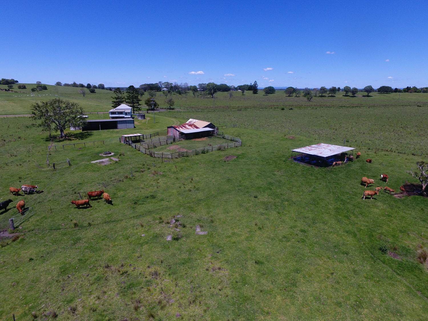 740 Rogerson Road, South Gundurimba For Sale by Farmbuy.com - image 2
