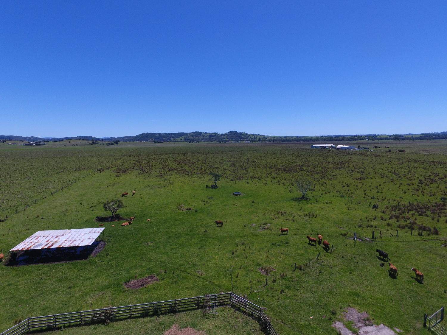 740 Rogerson Road, South Gundurimba For Sale by Farmbuy.com - image 15