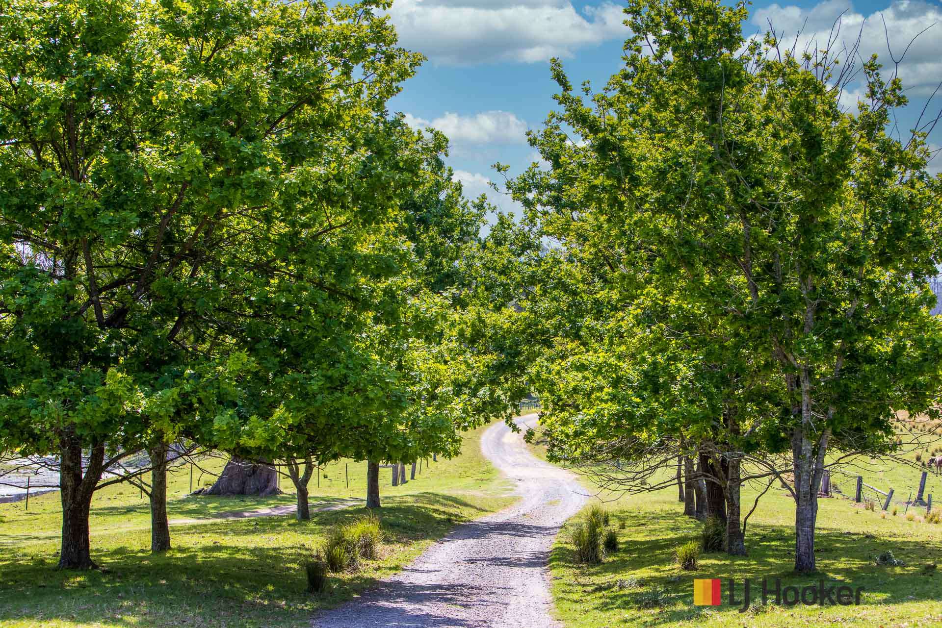 1109 Princes Highway, Mogo For Sale by Farmbuy.com - image 3