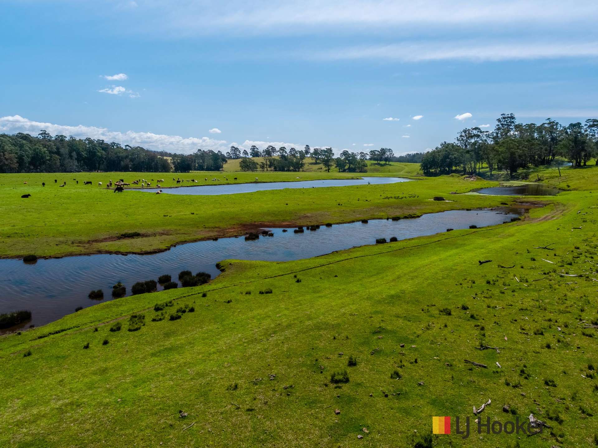 1109 Princes Highway, Mogo For Sale by Farmbuy.com - image 15