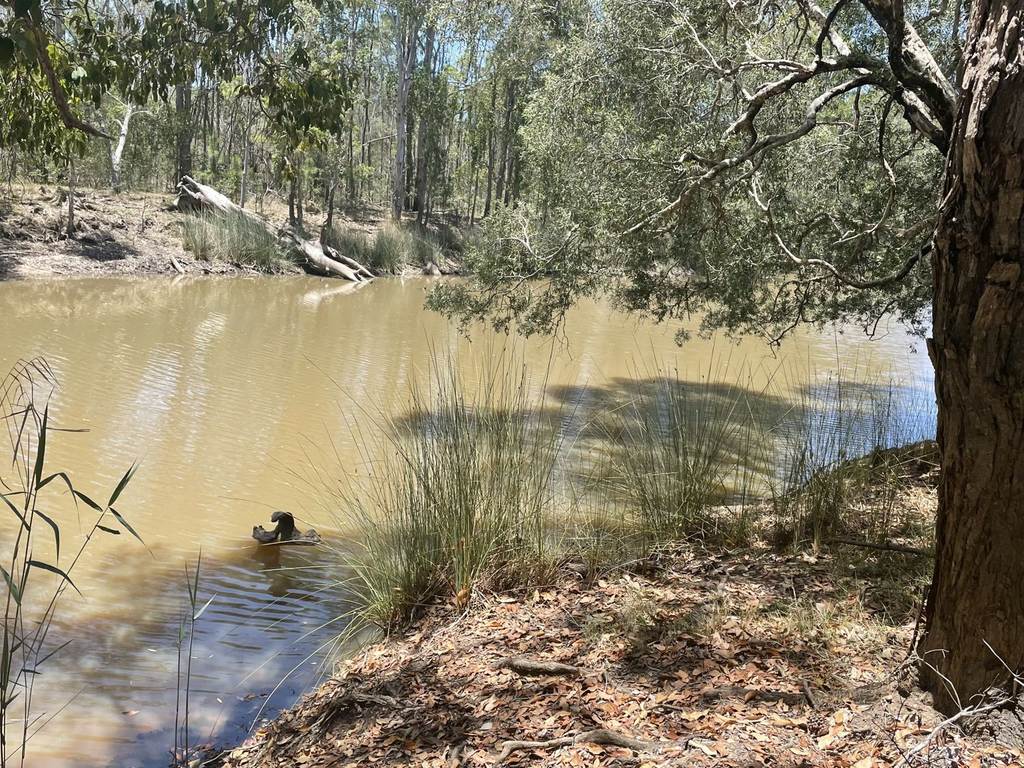 629 Clearfield Road, Clearfield NSW 2469