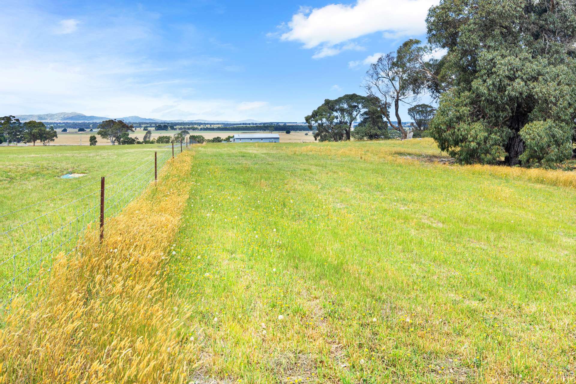 165 Smiths Lane, Trawalla Sold by Farmbuy.com - image 8
