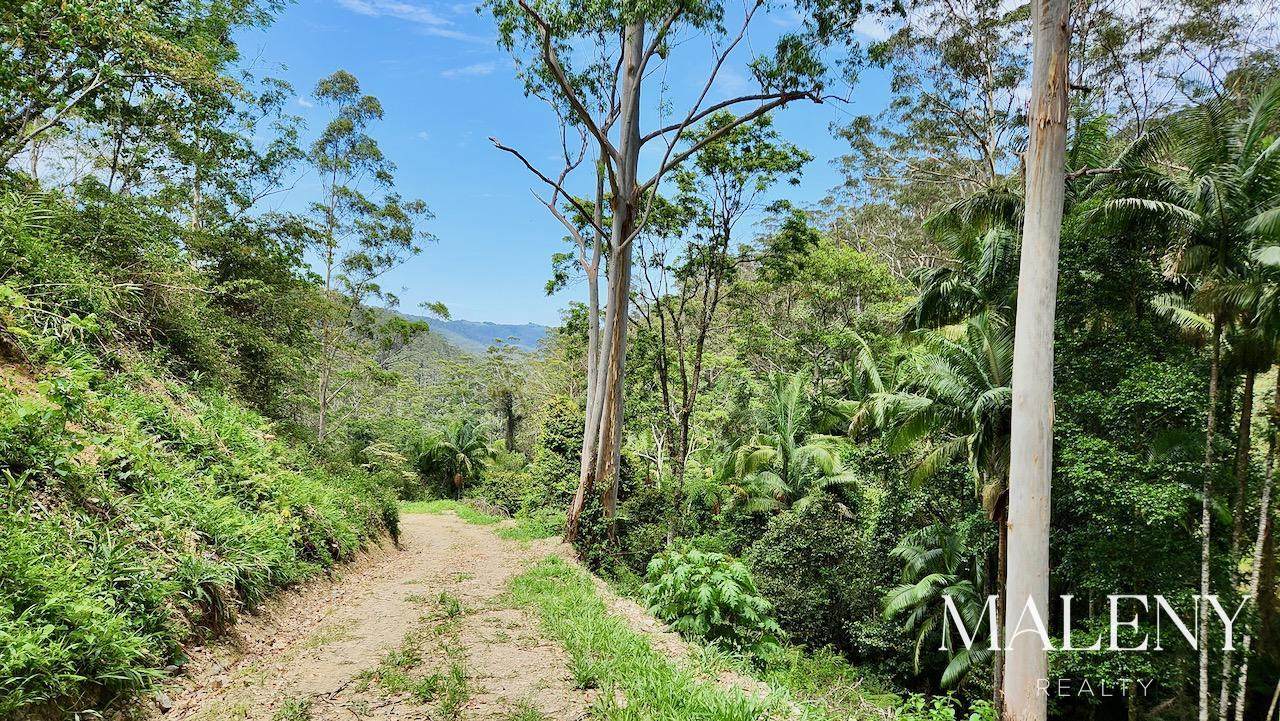 97-155 Doyle Road, Wootha For Sale by Farmbuy.com - image 23