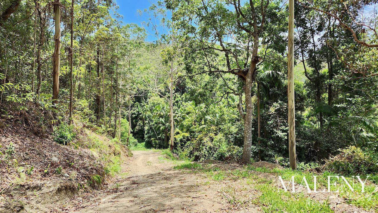 97-155 Doyle Road, Wootha For Sale by Farmbuy.com - image 24