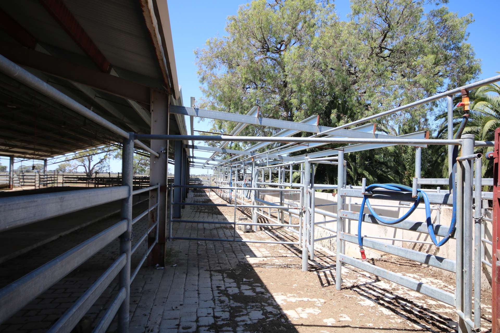614 Nullabooma Road, Wakool For Sale by Farmbuy.com - image 21