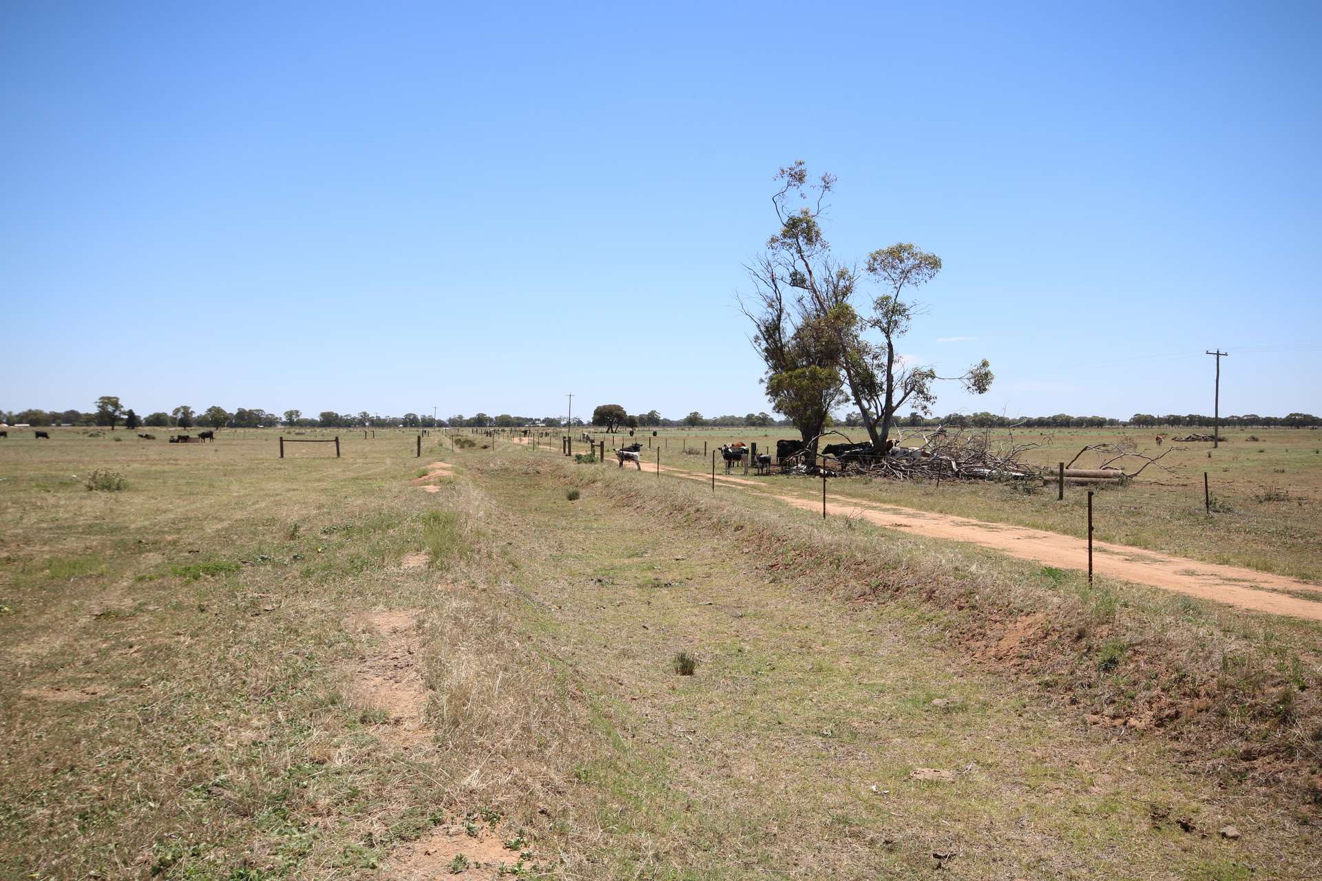 614 Nullabooma Road, Wakool For Sale by Farmbuy.com - image 22