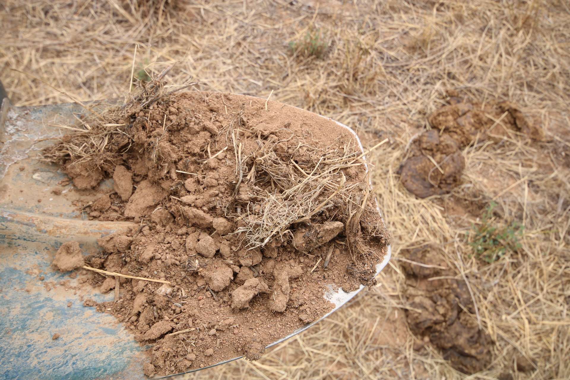 614 Nullabooma Road, Wakool For Sale by Farmbuy.com - image 18