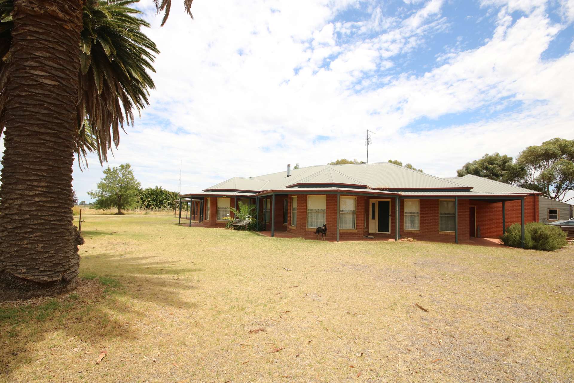 614 Nullabooma Road, Wakool For Sale by Farmbuy.com - image 10