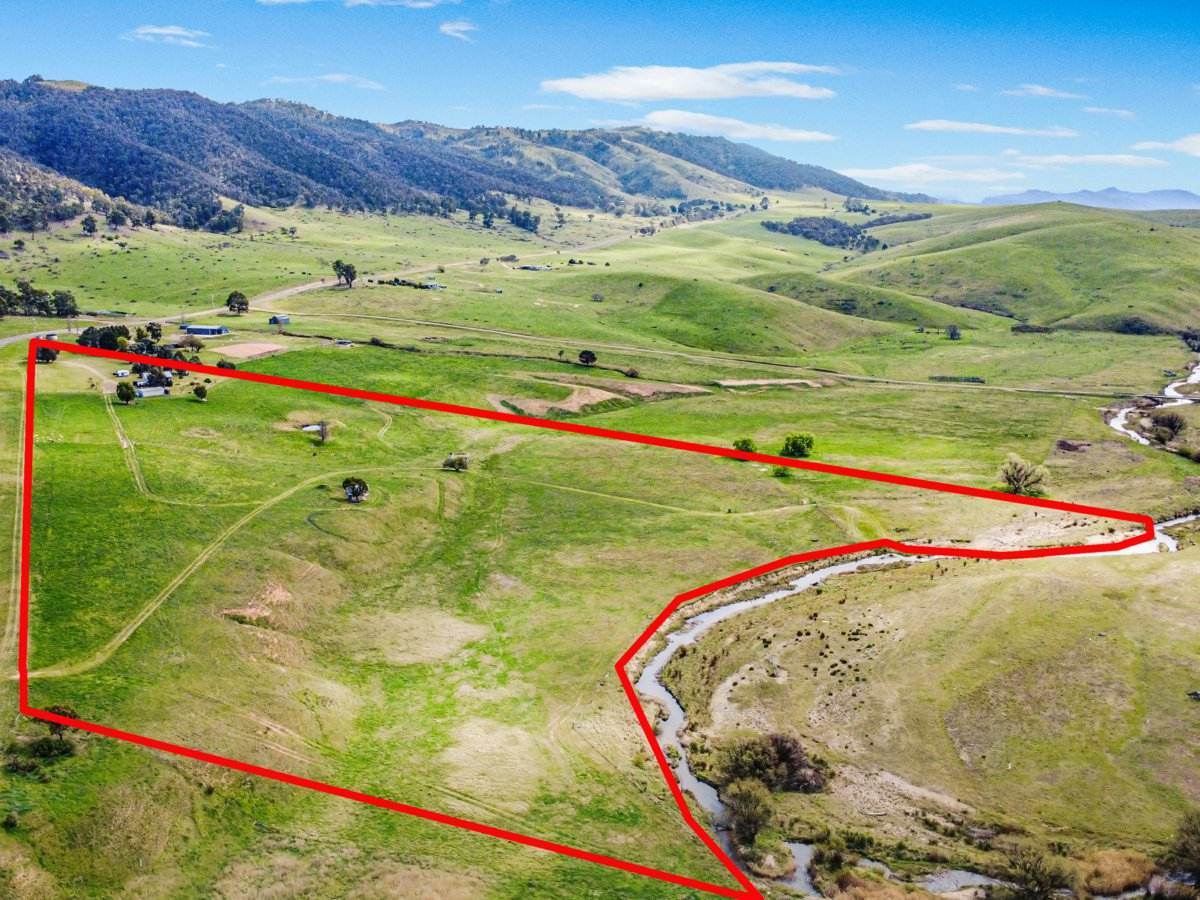 312 Omeo Valley Road, Omeo For Sale by Farmbuy.com - image 20