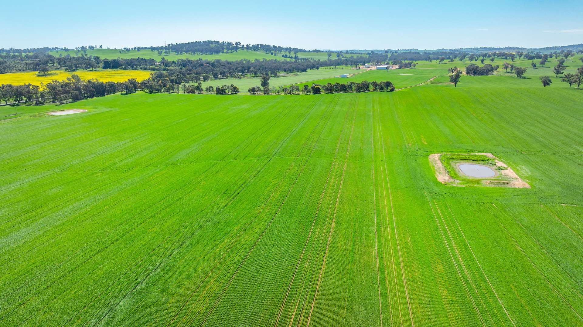 1726 Howlong Burrumbuttock Road, Burrumbuttock For Sale by Farmbuy.com - image 3