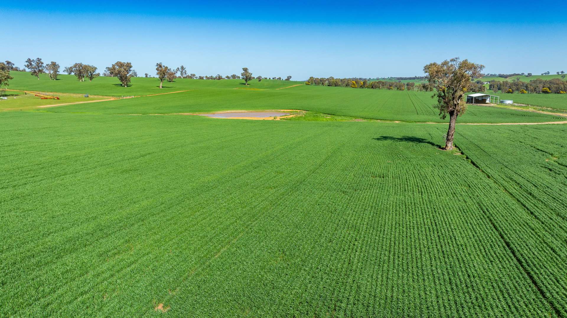 1726 Howlong Burrumbuttock Road, Burrumbuttock For Sale by Farmbuy.com - image 9