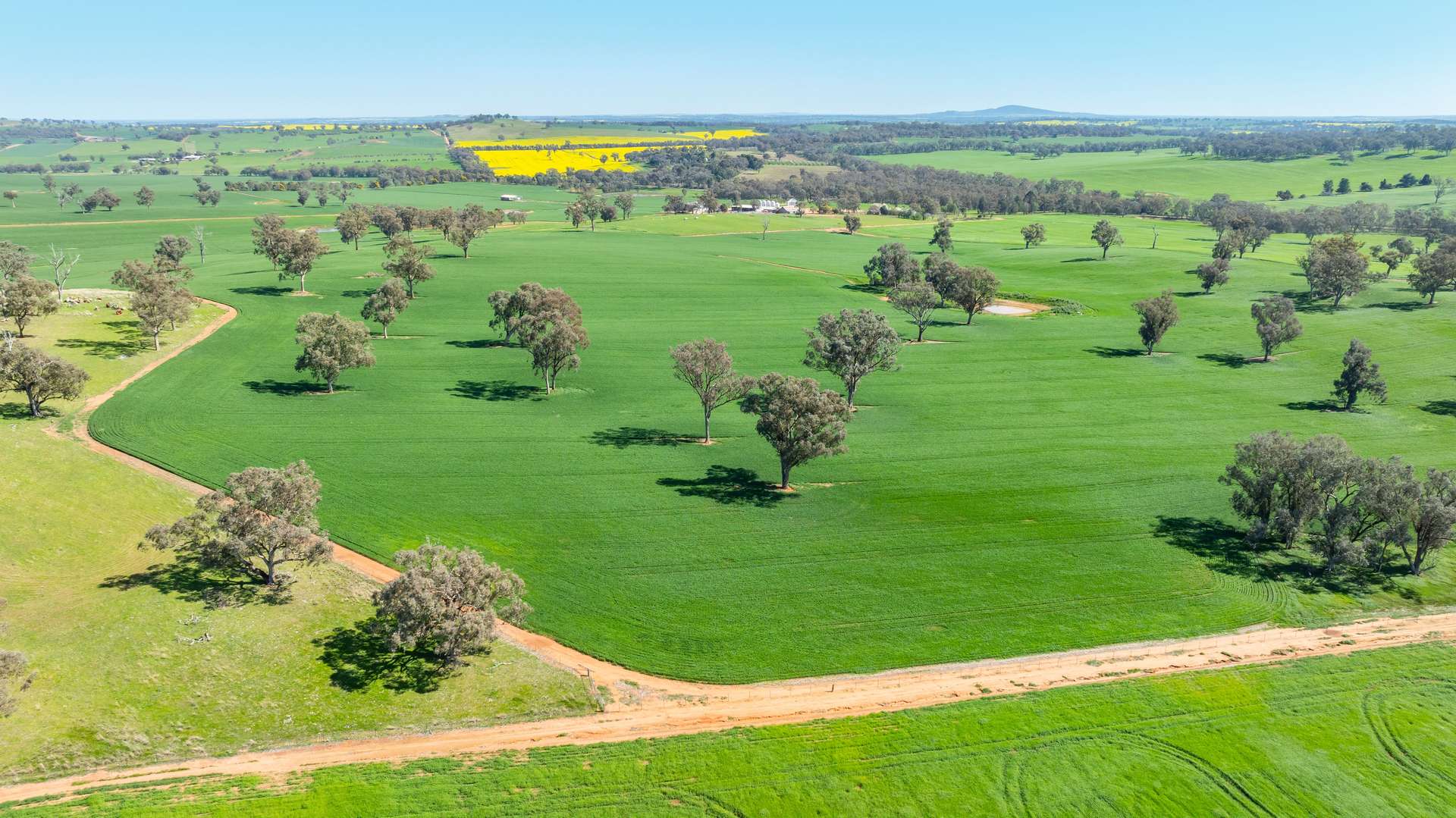 1726 Howlong Burrumbuttock Road, Burrumbuttock For Sale by Farmbuy.com - image 29