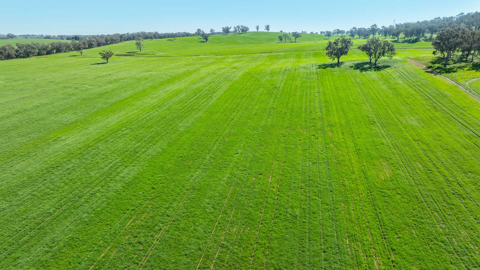 1726 Howlong Burrumbuttock Road, Burrumbuttock For Sale by Farmbuy.com - image 22