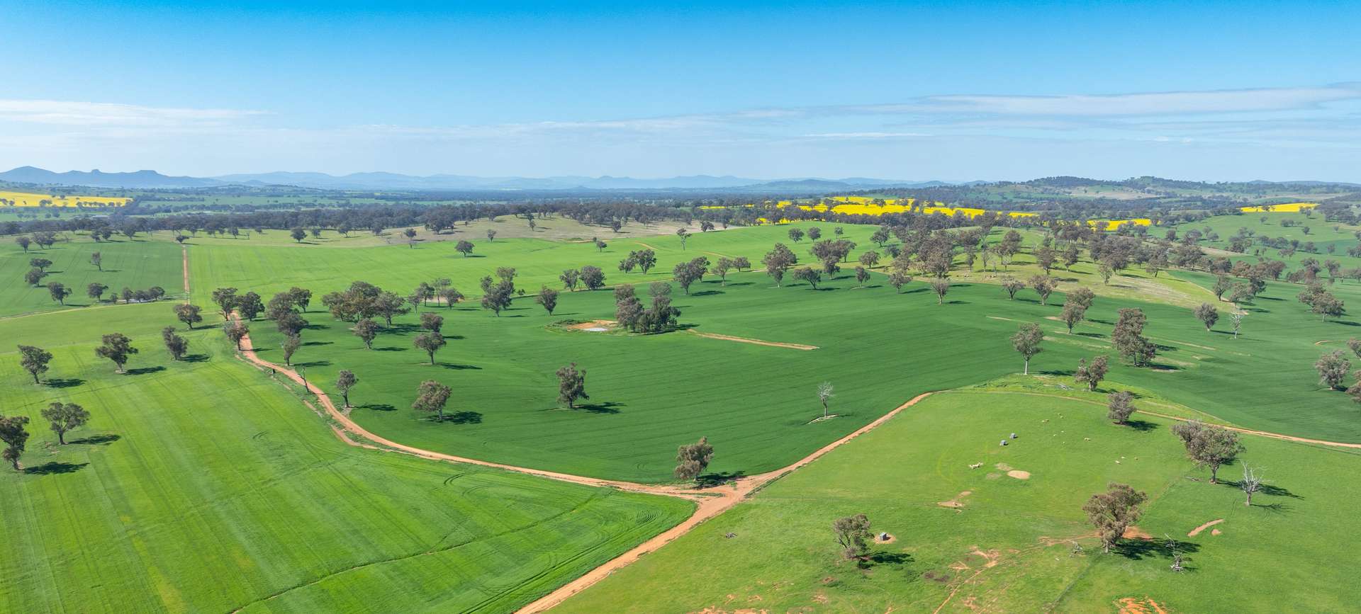 1726 Howlong Burrumbuttock Road, Burrumbuttock For Sale by Farmbuy.com - image 34