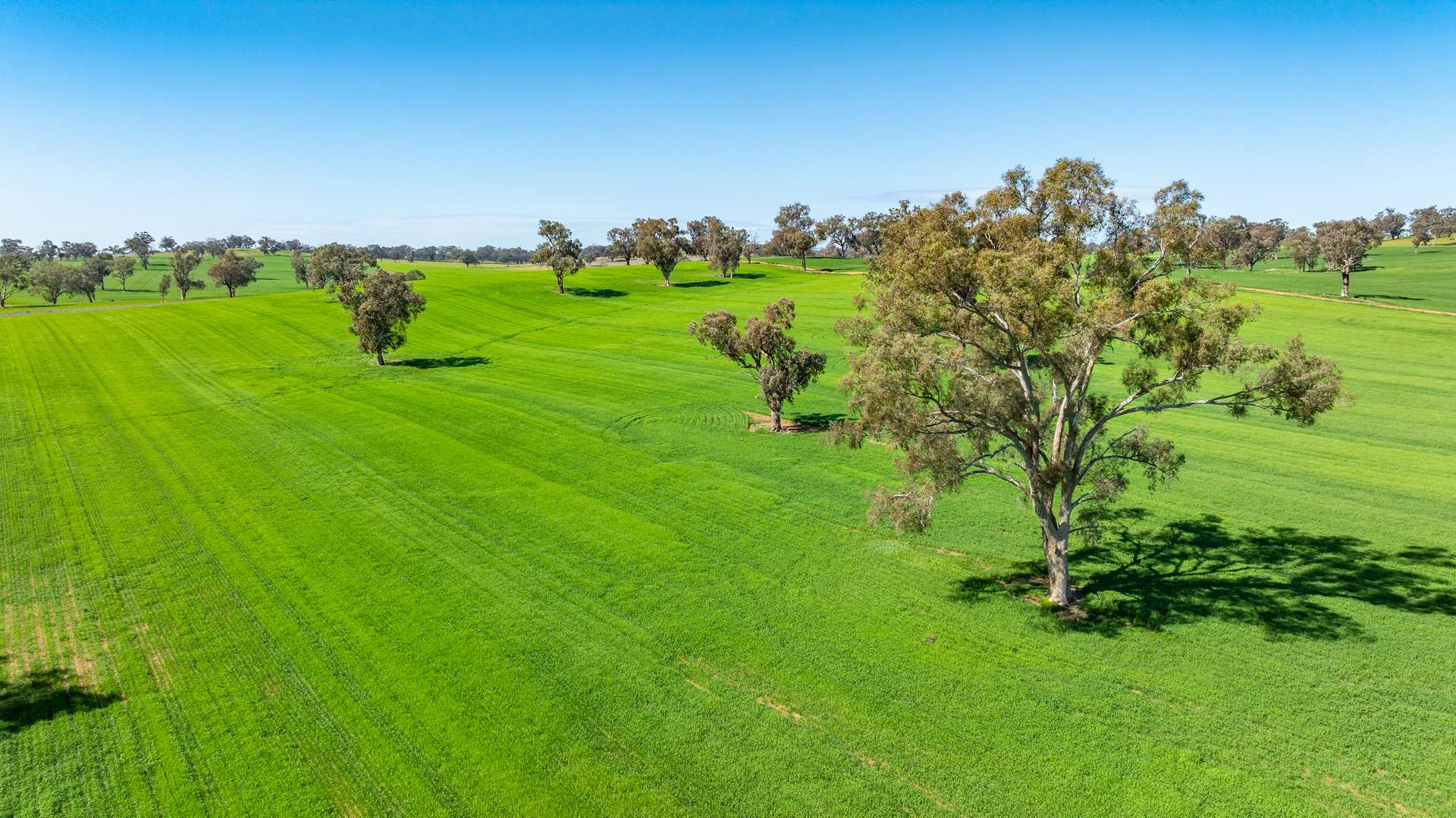 1726 Howlong Burrumbuttock Road, Burrumbuttock For Sale by Farmbuy.com - image 33