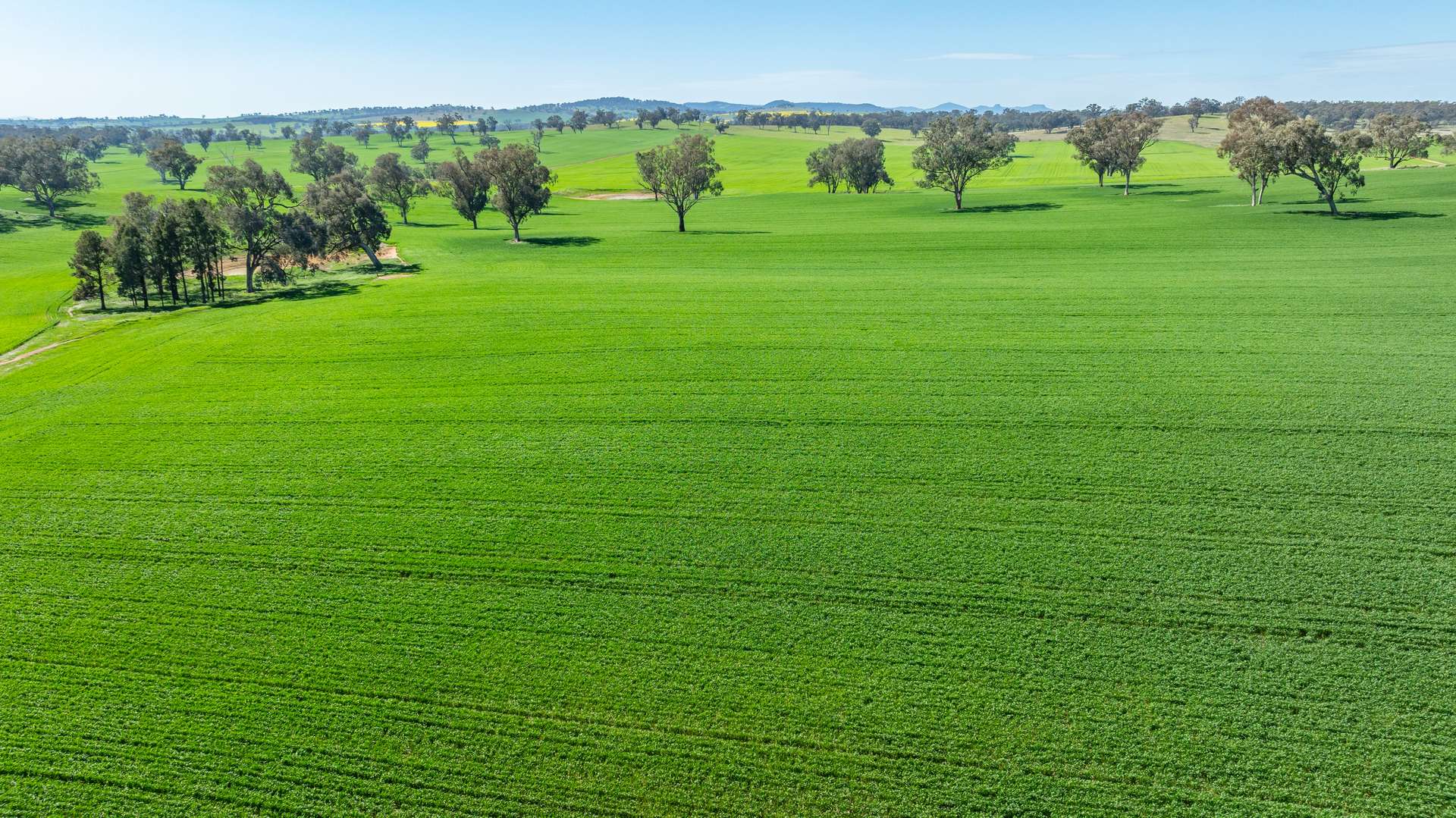 1726 Howlong Burrumbuttock Road, Burrumbuttock For Sale by Farmbuy.com - image 8