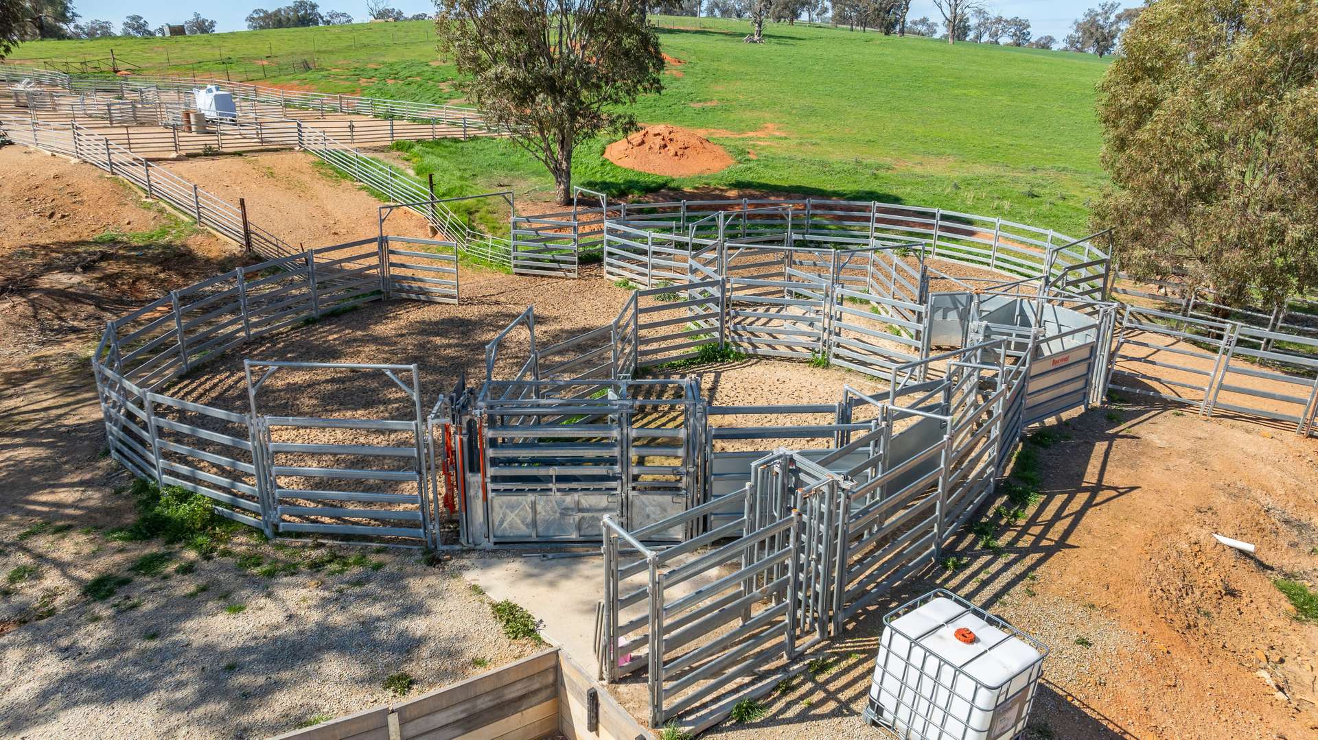 1726 Howlong Burrumbuttock Road, Burrumbuttock For Sale by Farmbuy.com - image 25