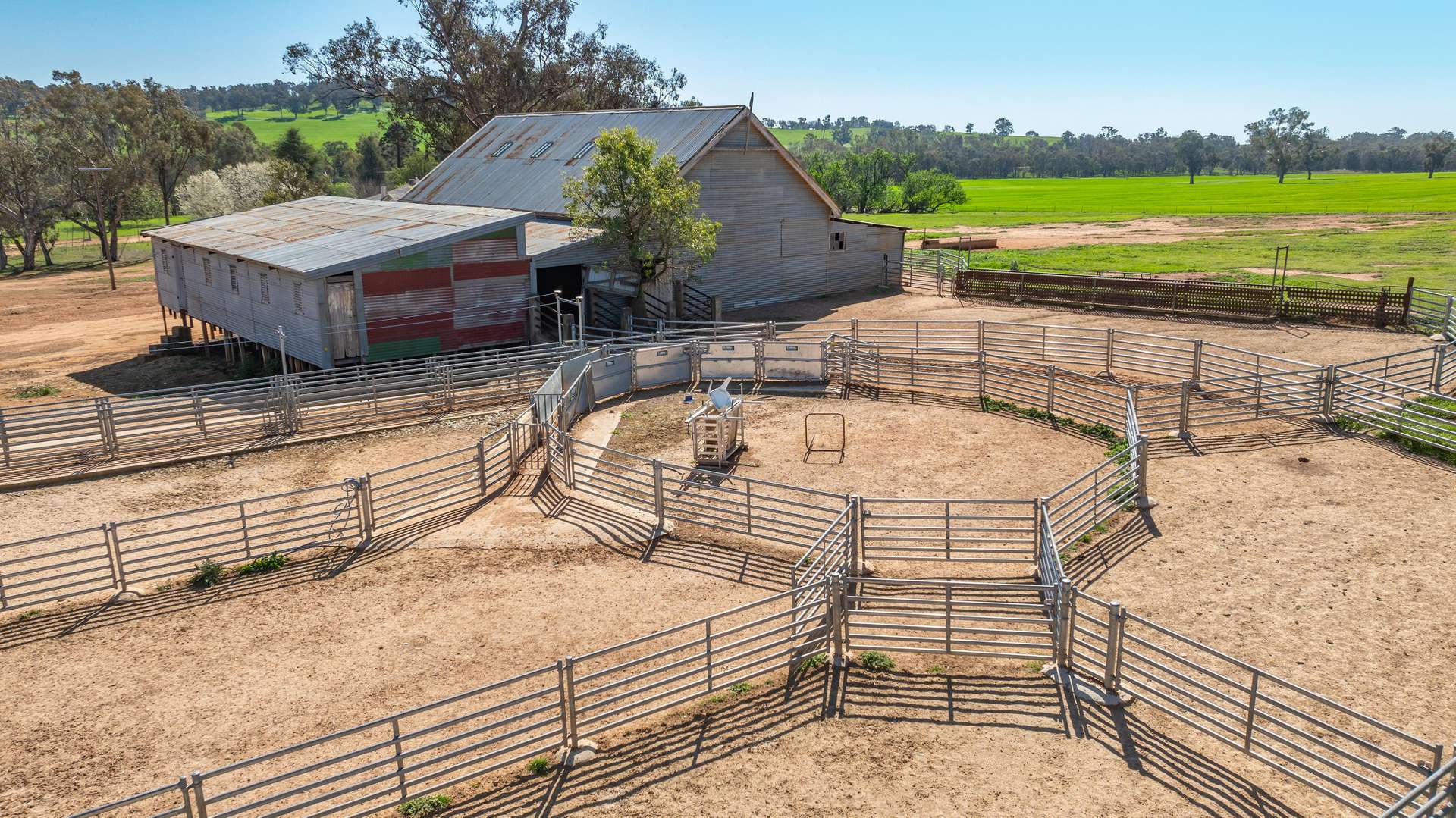 1726 Howlong Burrumbuttock Road, Burrumbuttock For Sale by Farmbuy.com - image 24