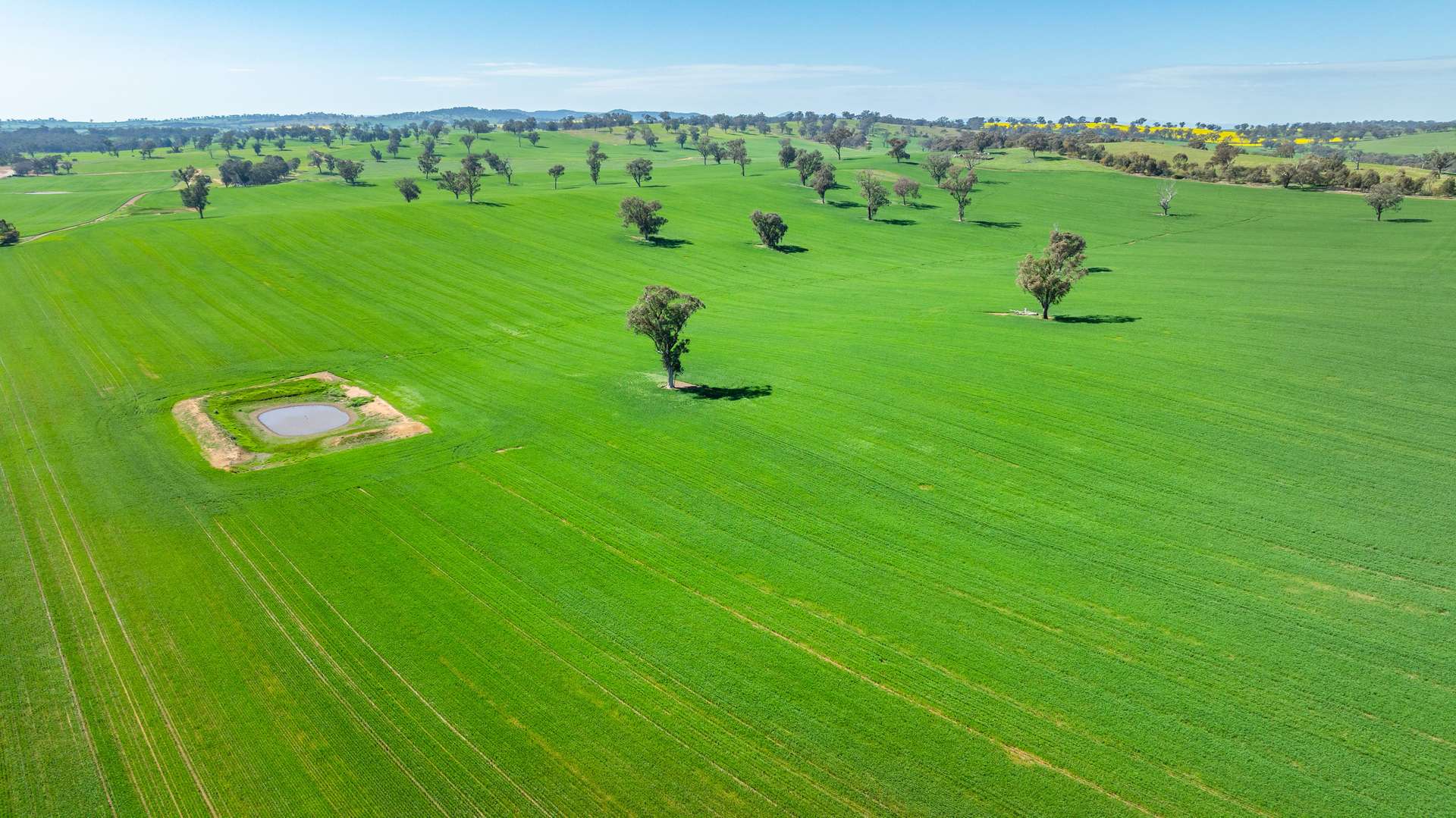 1726 Howlong Burrumbuttock Road, Burrumbuttock For Sale by Farmbuy.com - image 2