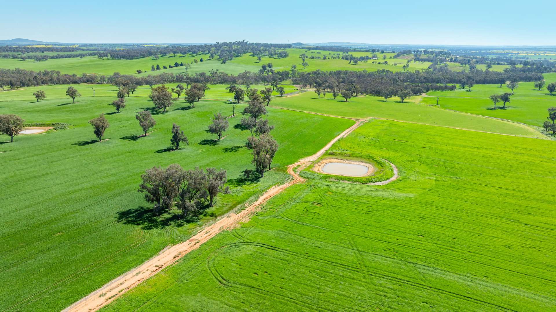 1726 Howlong Burrumbuttock Road, Burrumbuttock For Sale by Farmbuy.com - image 30