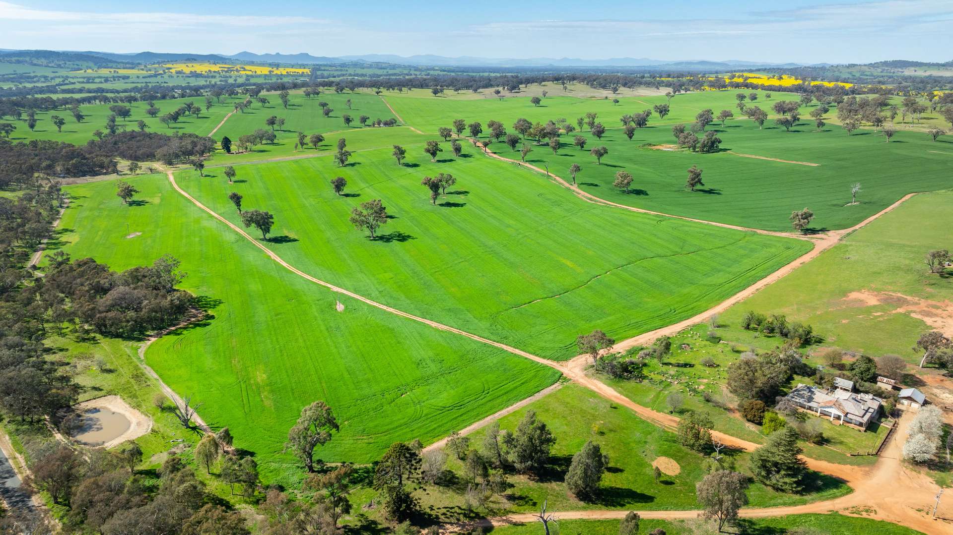 1726 Howlong Burrumbuttock Road, Burrumbuttock For Sale by Farmbuy.com - image 21