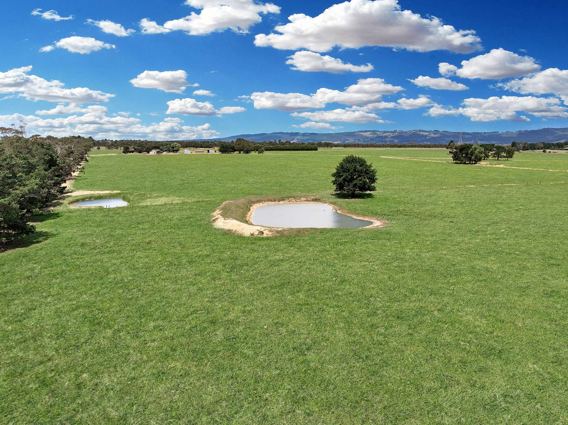 199 Orchard Road, Yarragon Sold by Farmbuy.com - image 1