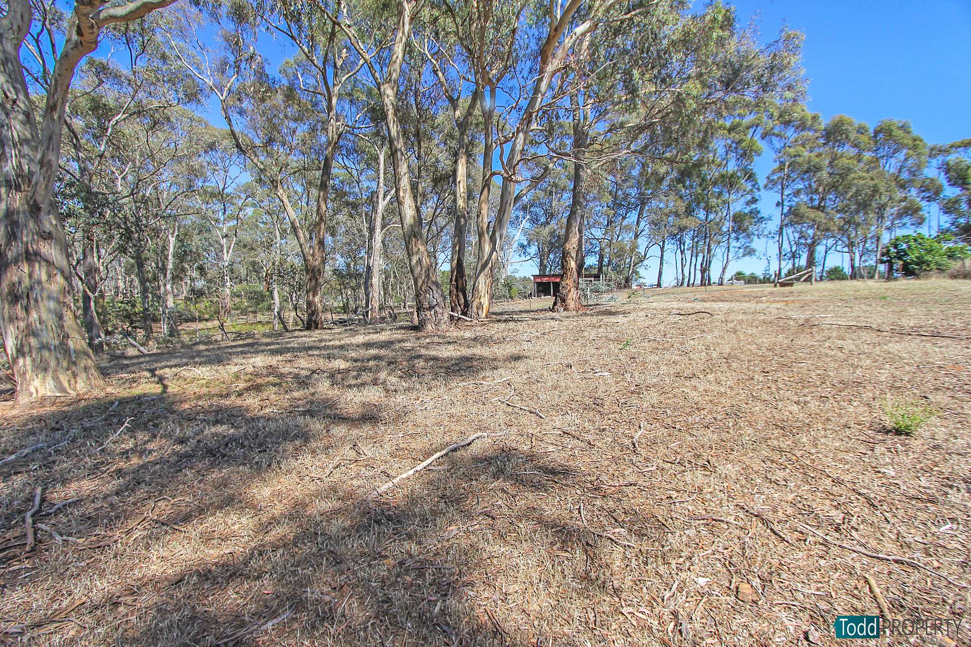 2 Ellis Road, Heathcote For Sale by Farmbuy.com - image 10