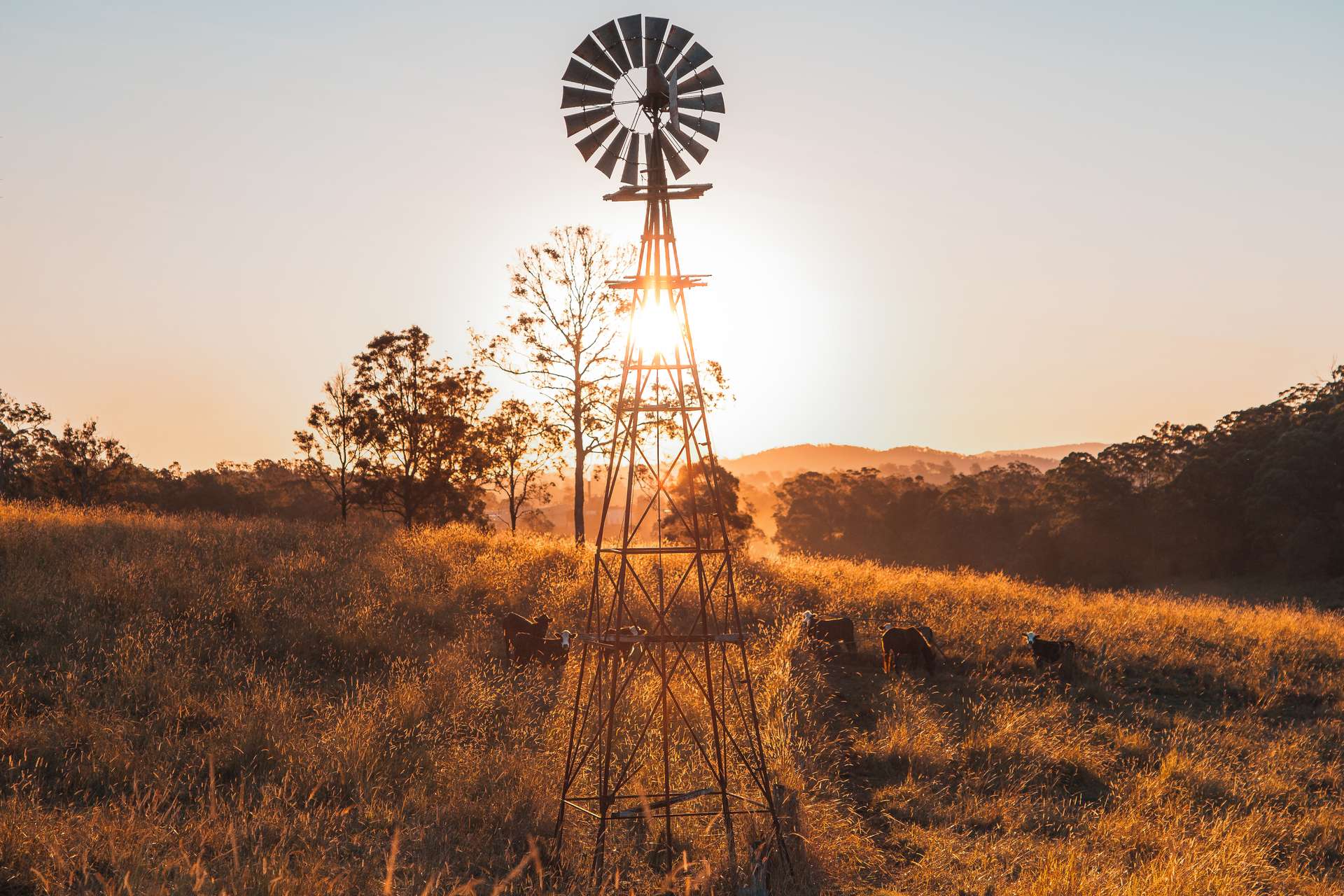 Kyogle For Sale by Farmbuy.com - image 17