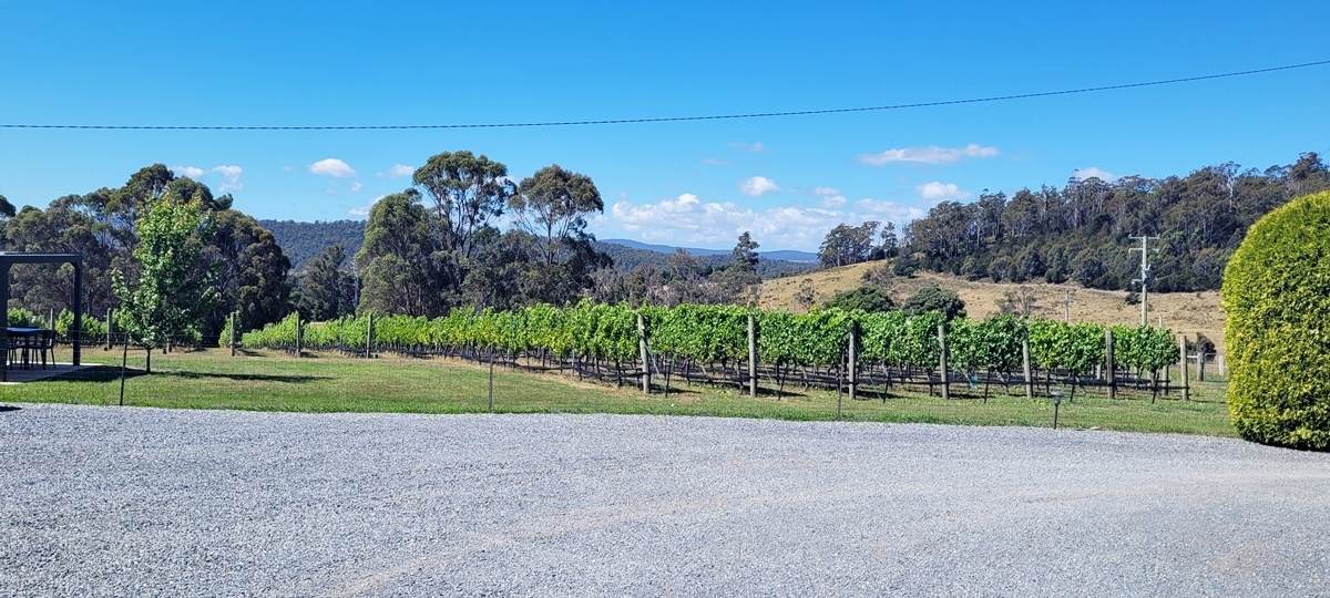 150 Hjorts Road, Loira Sold by Farmbuy.com - image 18