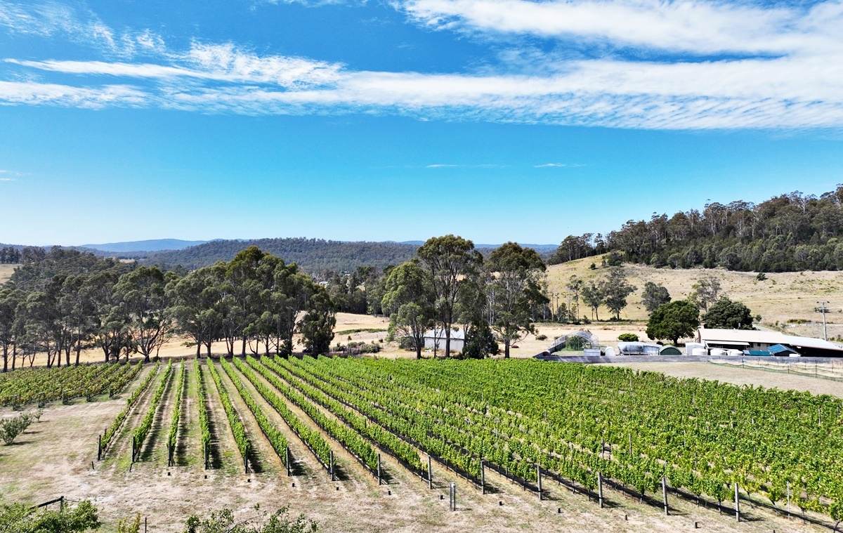 150 Hjorts Road, Loira Sold by Farmbuy.com - image 16