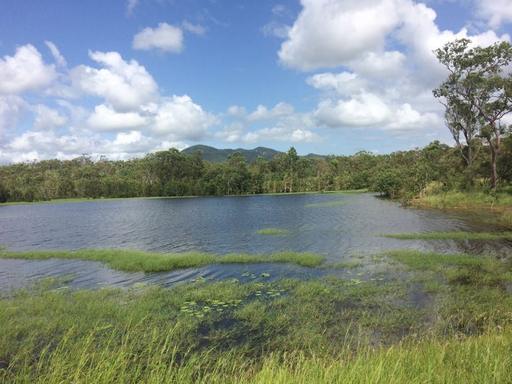Farm Sold - QLD - Bowen - 4805 - Irrigation | Cultivation | Grazing 