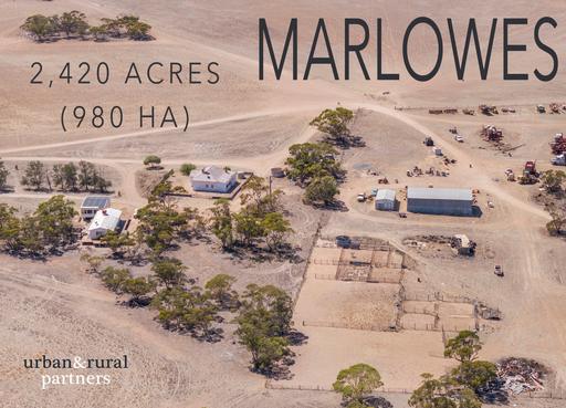 1225a McEvoy Road, Chandada SA 5680