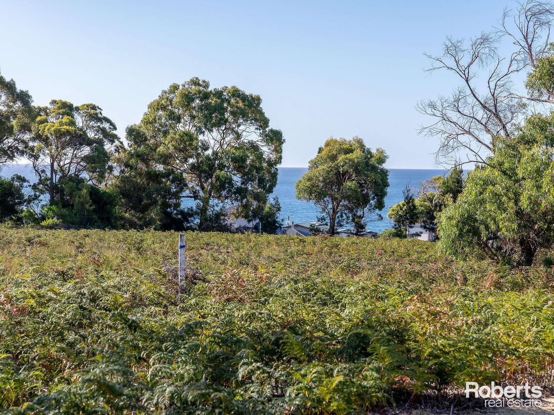 Fernlack Road, Greens Beach For Sale by Farmbuy.com - image 19