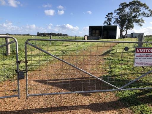 Farm Sold - WA - Meerup - 6262 - Prime Farmland - 158 acres 7 kms West of Northcliffe 