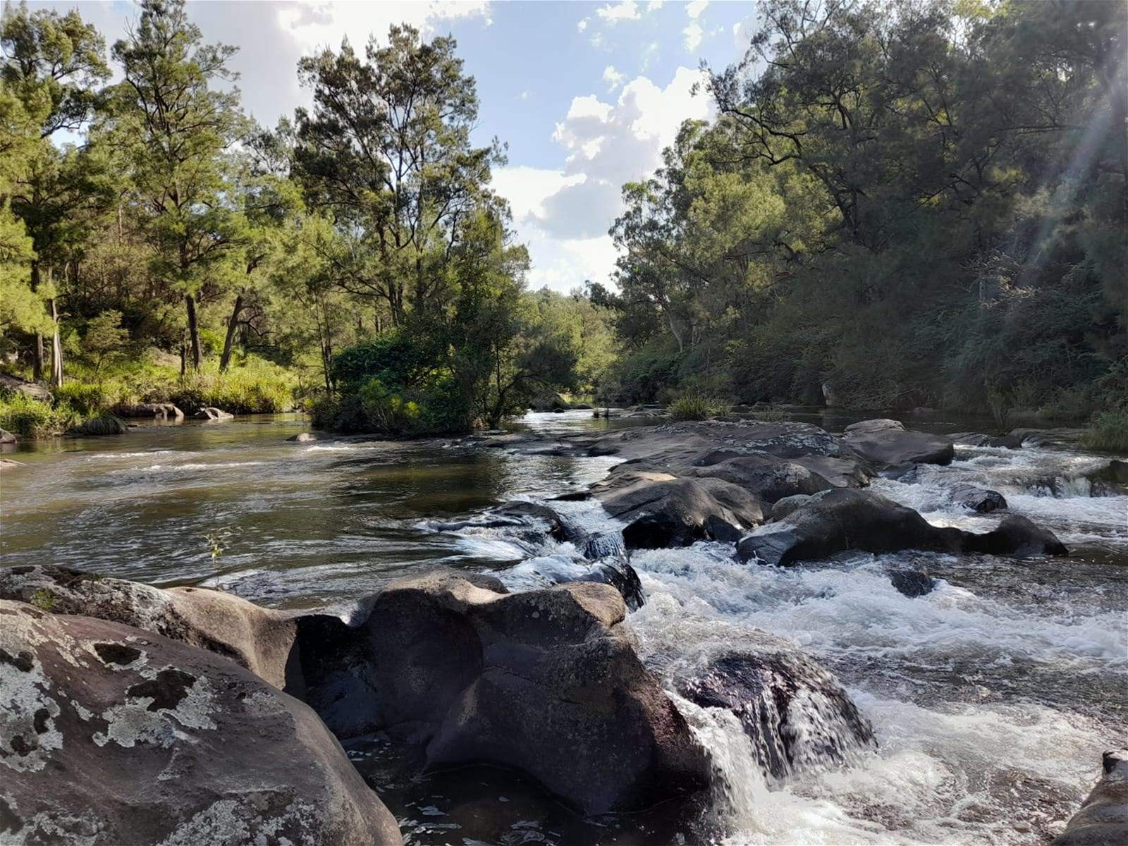 Dorrigo For Sale by Farmbuy.com - image 33