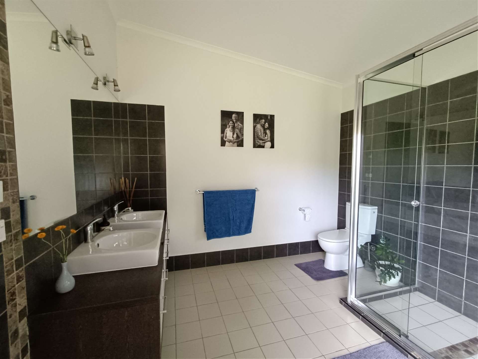 Dorrigo For Sale by Farmbuy.com - image 9