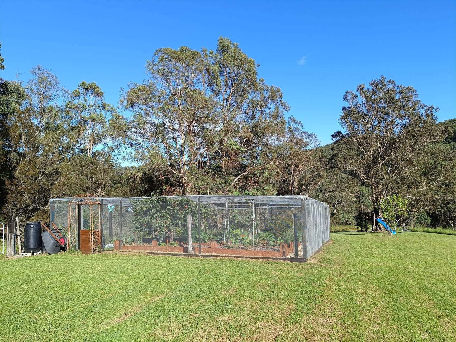 Dorrigo For Sale by Farmbuy.com - image 26