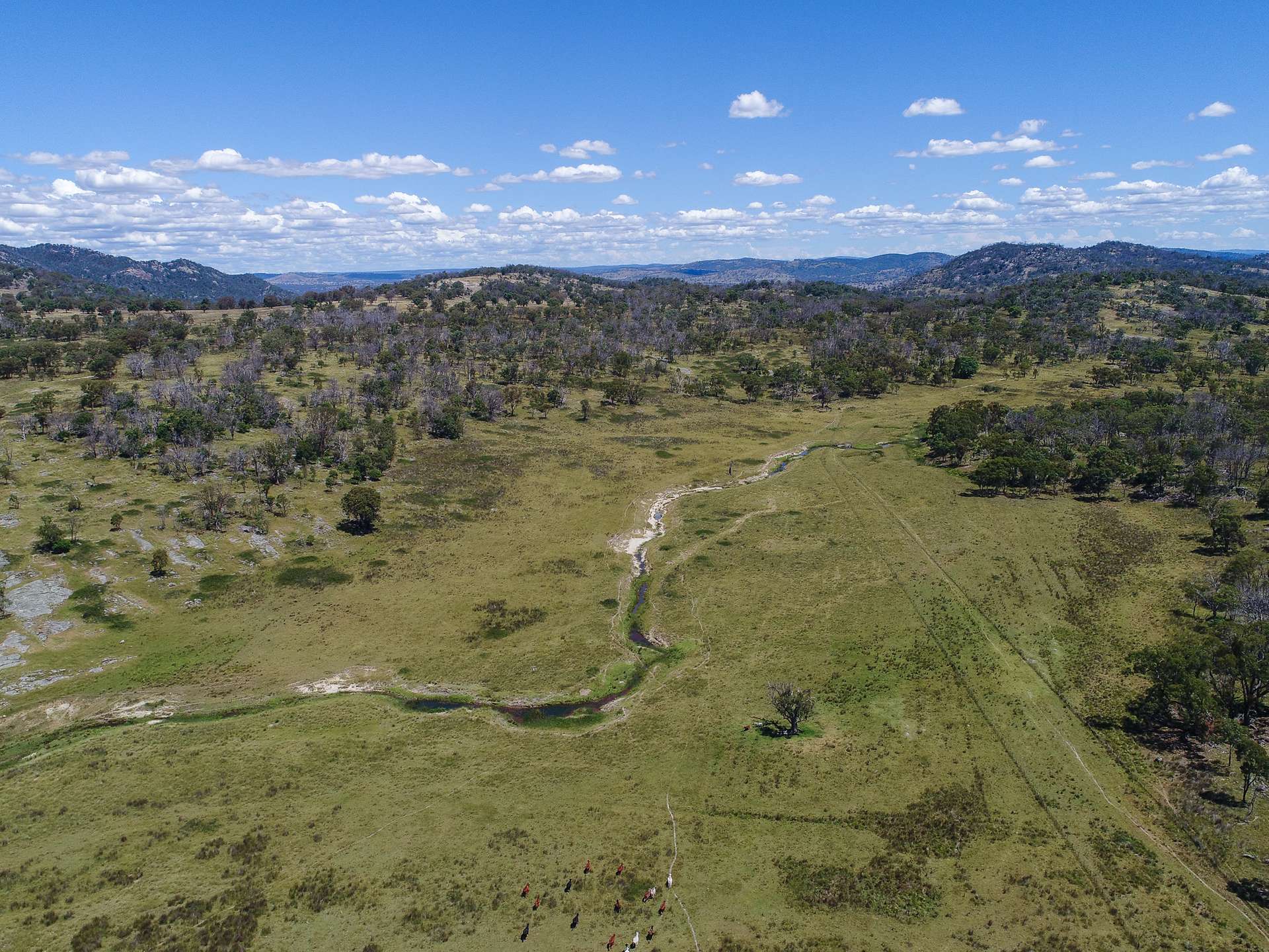 778 Torryburn Road, Yarrowyck For Sale by Farmbuy.com - image 4