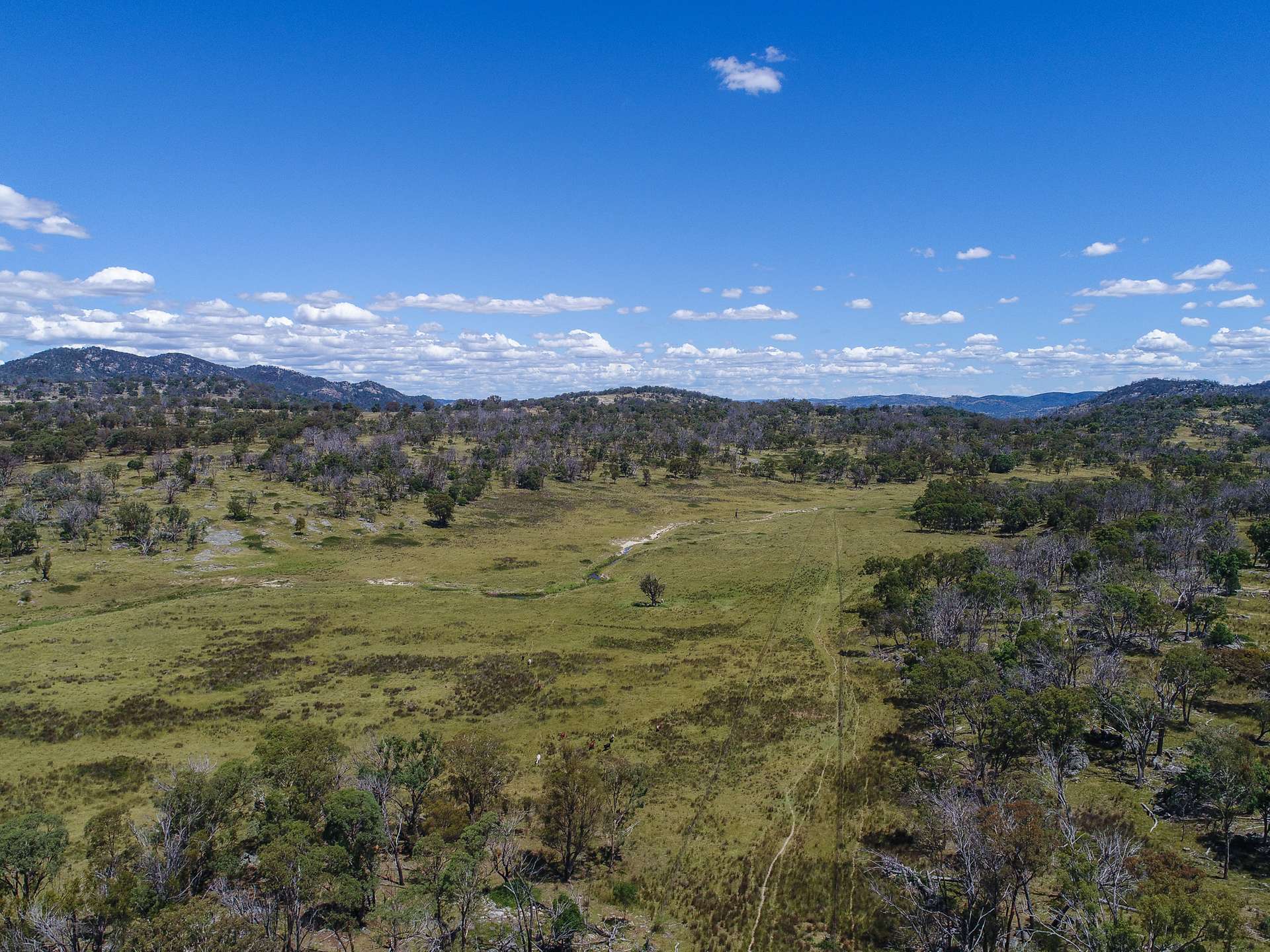 778 Torryburn Road, Yarrowyck For Sale by Farmbuy.com - image 5