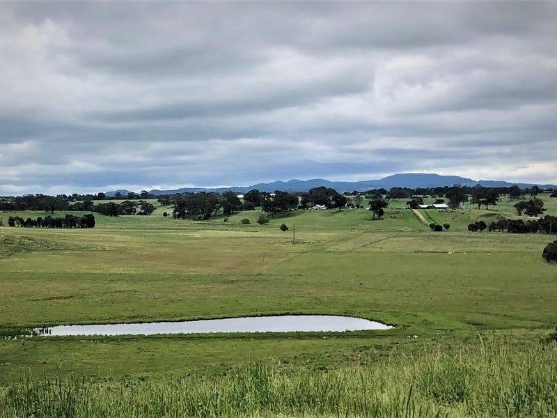 4397 Mitchell Highway, Orange For Sale by Farmbuy.com - image 2
