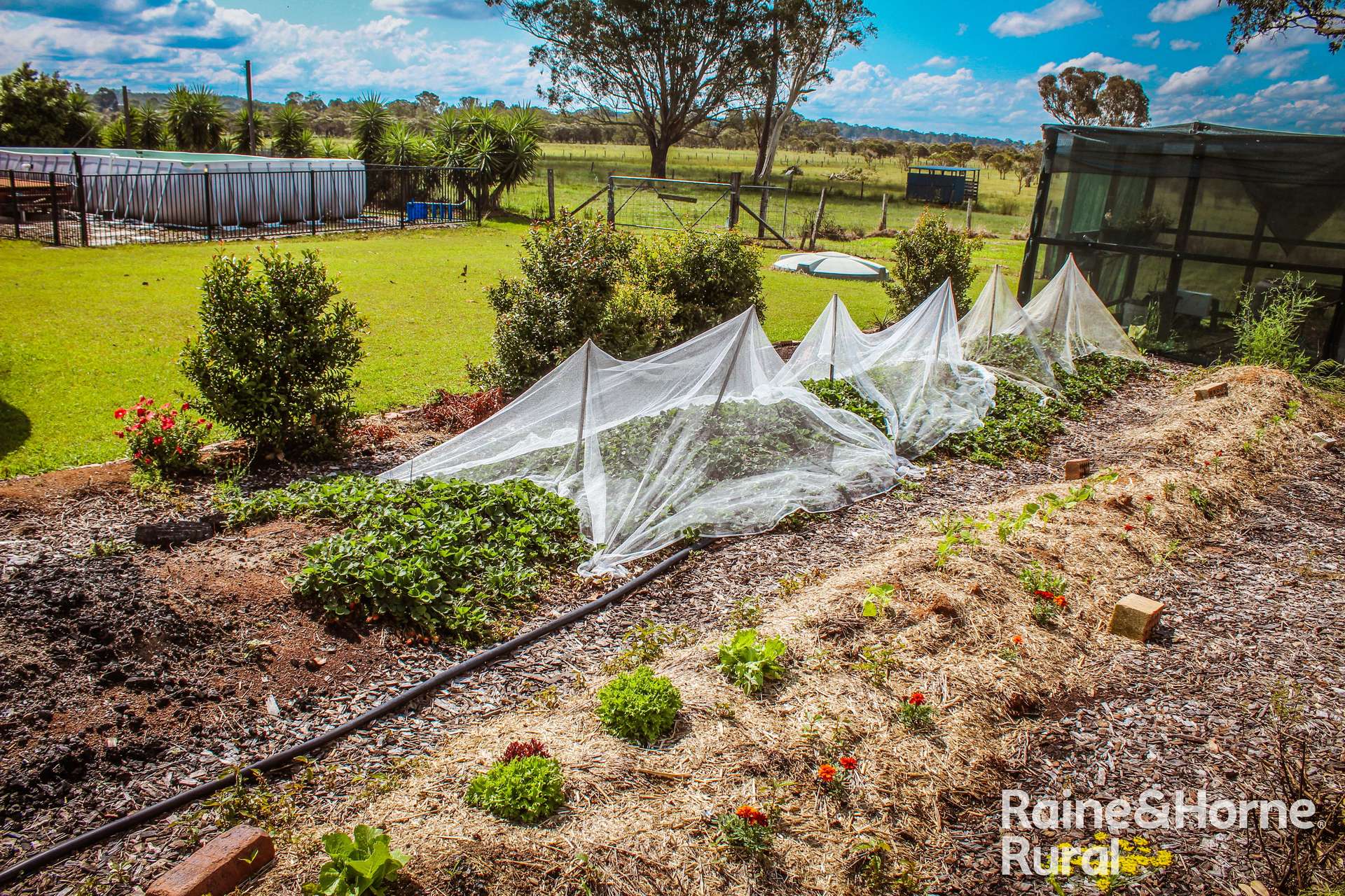 198 Old Dyraaba Road, Woodview For Sale by Farmbuy.com - image 7
