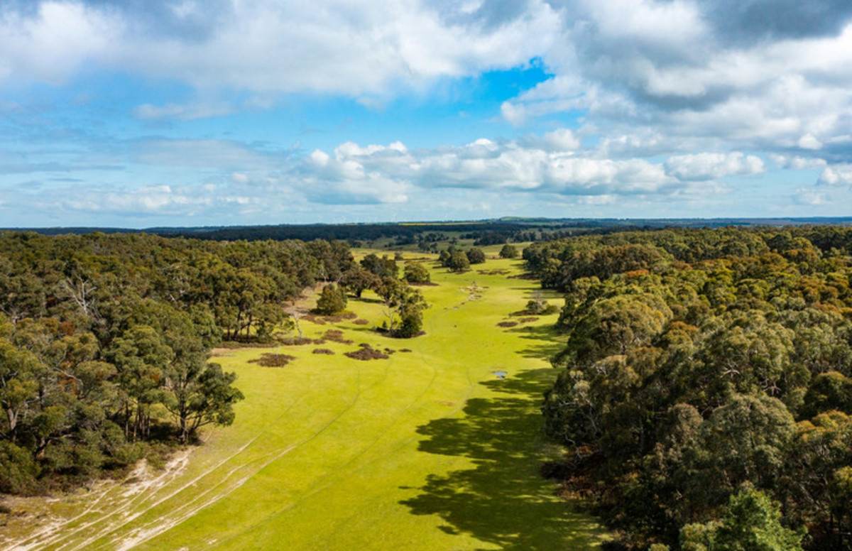 Kellys Road, Grenville For Sale by Farmbuy.com - image 23