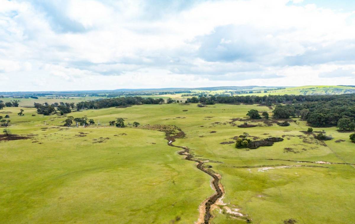 Kellys Road, Grenville For Sale by Farmbuy.com - image 22