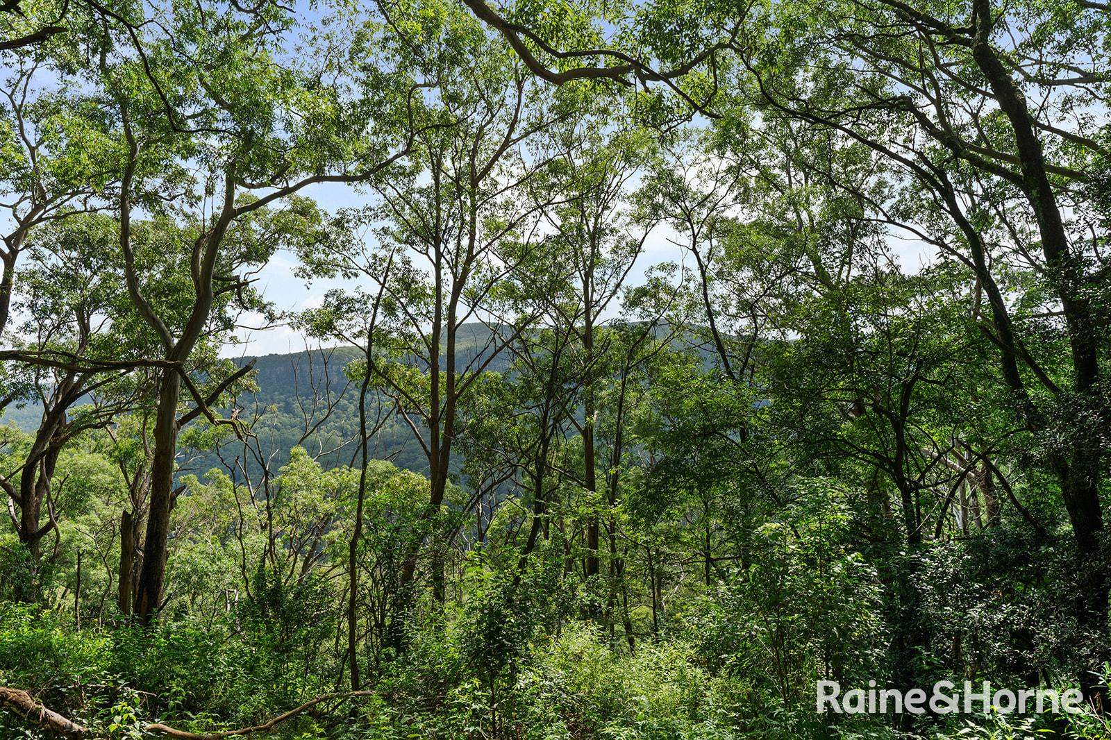 Lot 1 Selbys Road, Budgong For Sale by Farmbuy.com - image 20