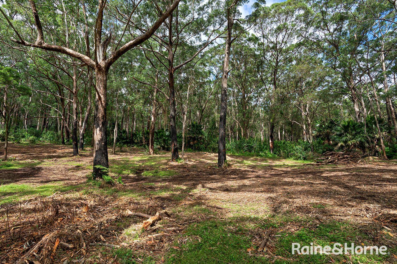 Lot 1 Selbys Road, Budgong For Sale by Farmbuy.com - image 11