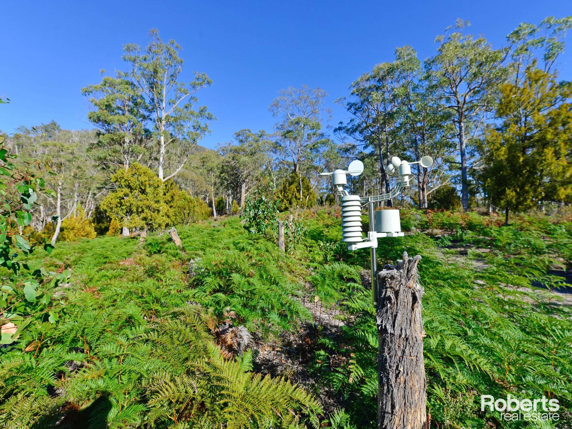 Fentonbury For Sale by Farmbuy.com - image 12