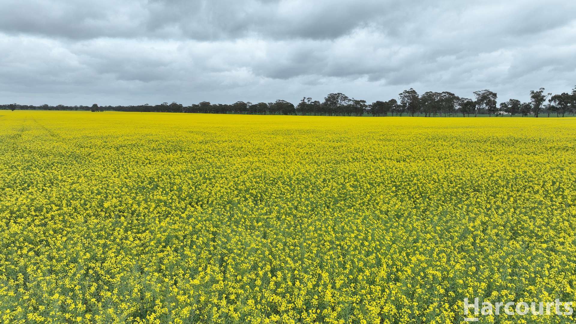 Lot 2/1878 Northern Grampians Road, Laharum For Sale by Farmbuy.com - image 2