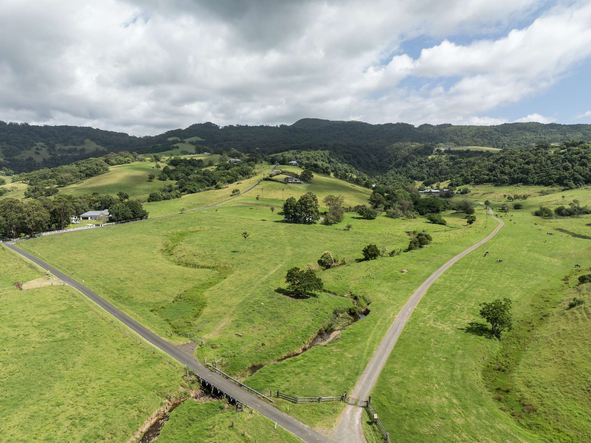 'The Hill Block' 130 Rose Valley Road, Rose Valley For Sale by Farmbuy.com - image 5